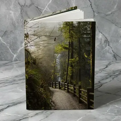 Misty Forest Trail Path Tall Trees