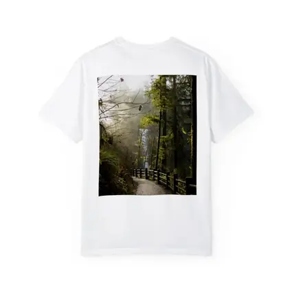 Misty Forest Trail Path Tall Trees