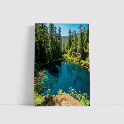 Crystal Blue Forest River Oregon Nature