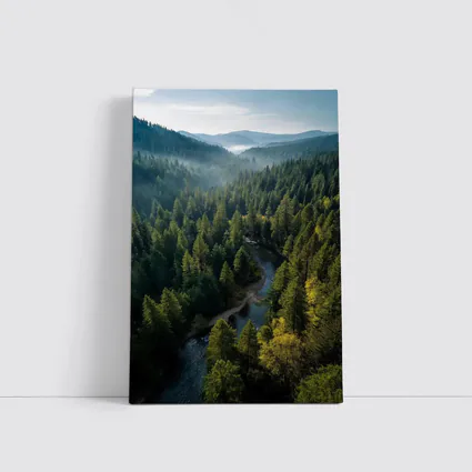Aerial Forest River Valley Misty Mountains