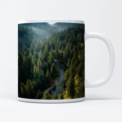 Aerial Forest River Valley Misty Mountains