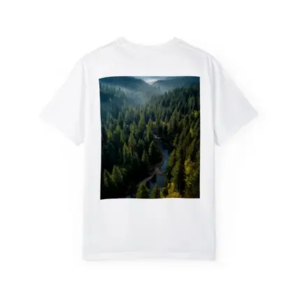 Aerial Forest River Valley Misty Mountains