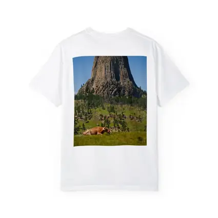 Longhorn Bull Resting at Devils Tower Wyoming