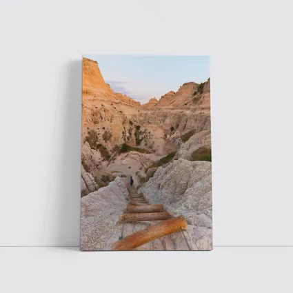 Badlands Canyon Hiker Wooden Ladder Desert