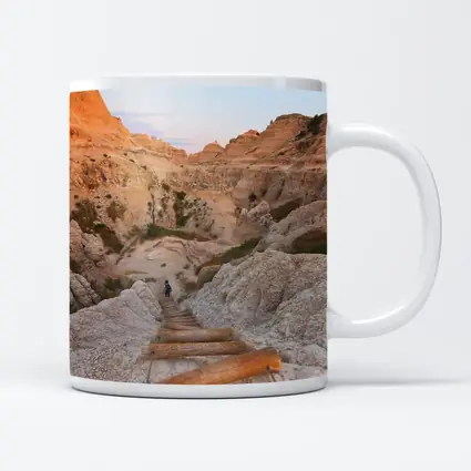 Badlands Canyon Hiker Wooden Ladder Desert