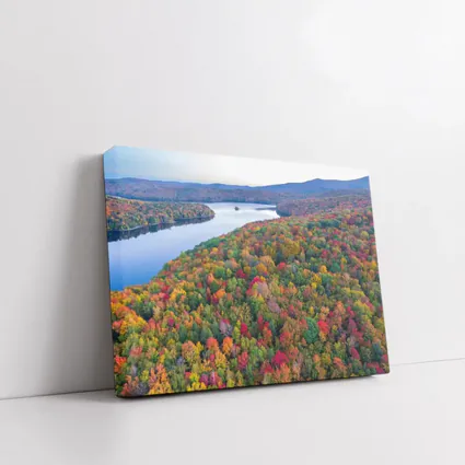 Aerial Autumn Forest Lake Mountain View