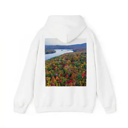 Aerial Autumn Forest Lake Mountain View