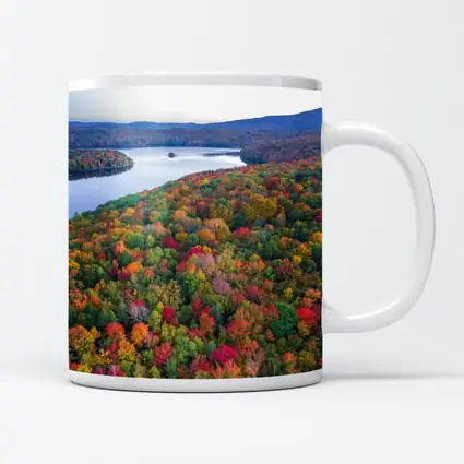 Aerial Autumn Forest Lake Mountain View