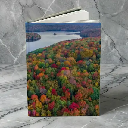 Aerial Autumn Forest Lake Mountain View