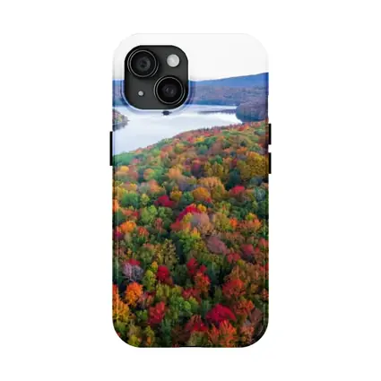 Aerial Autumn Forest Lake Mountain View