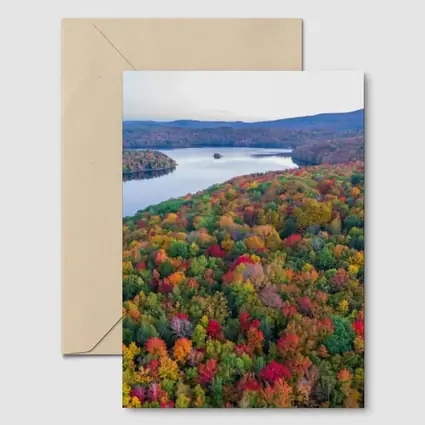 Aerial Autumn Forest Lake Mountain View