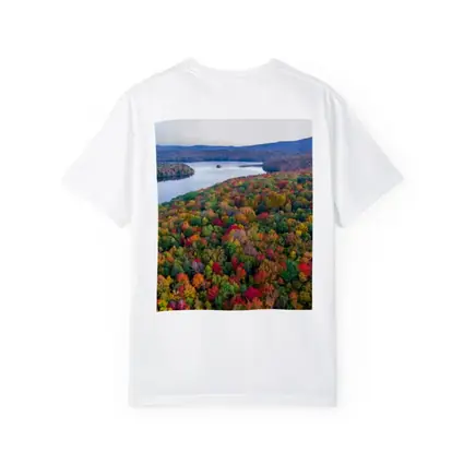 Aerial Autumn Forest Lake Mountain View