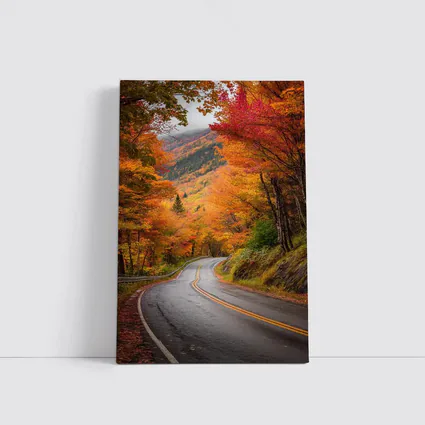 Winding Autumn Road Through Colorful Forest