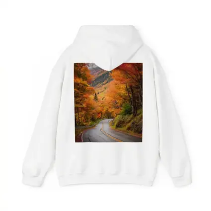 Winding Autumn Road Through Colorful Forest
