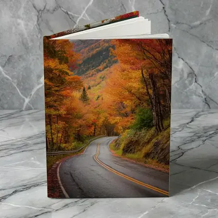 Winding Autumn Road Through Colorful Forest