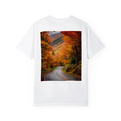 Winding Autumn Road Through Colorful Forest