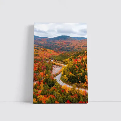 Winding Road Through Autumn Forest Valley