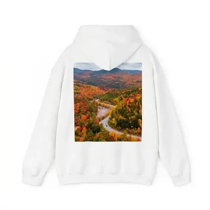 Winding Road Through Autumn Forest Valley