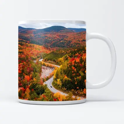 Winding Road Through Autumn Forest Valley