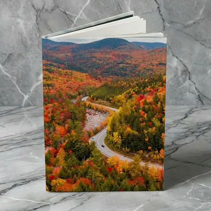 Winding Road Through Autumn Forest Valley