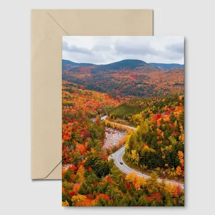 Winding Road Through Autumn Forest Valley