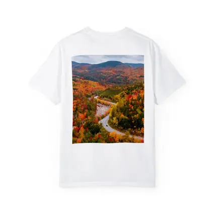 Winding Road Through Autumn Forest Valley