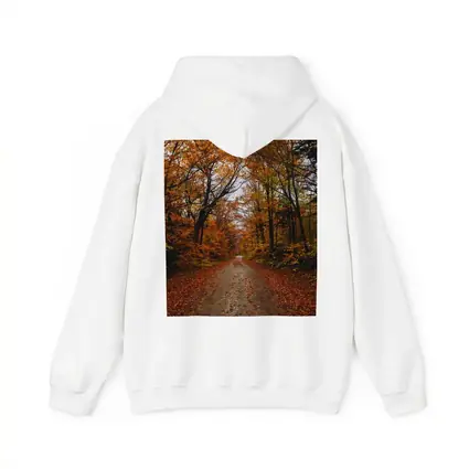Autumn Forest Road Fallen Leaves Trees