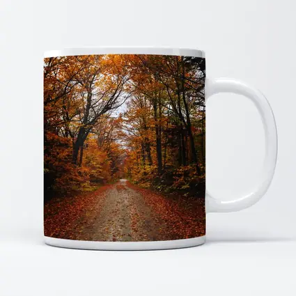 Autumn Forest Road Fallen Leaves Trees