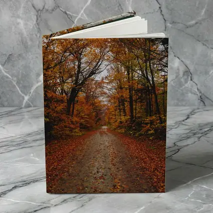 Autumn Forest Road Fallen Leaves Trees