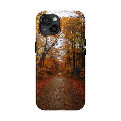 Autumn Forest Road Fallen Leaves Trees