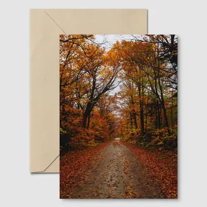 Autumn Forest Road Fallen Leaves Trees