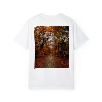 Autumn Forest Road Fallen Leaves Trees