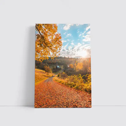 Autumn Country Road Farmhouse Golden Foliage