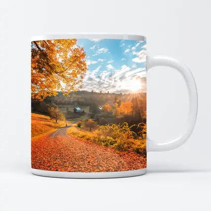 Autumn Country Road Farmhouse Golden Foliage