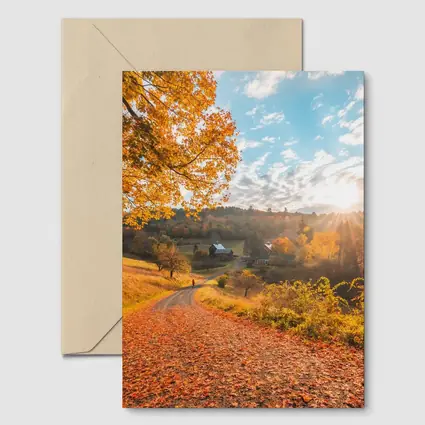 Autumn Country Road Farmhouse Golden Foliage