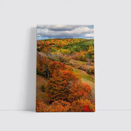 Autumn Forest Hills Rolling Green Valley