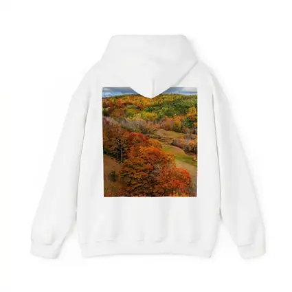 Autumn Forest Hills Rolling Green Valley