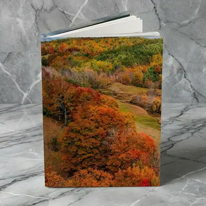 Autumn Forest Hills Rolling Green Valley