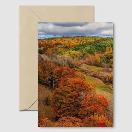 Autumn Forest Hills Rolling Green Valley