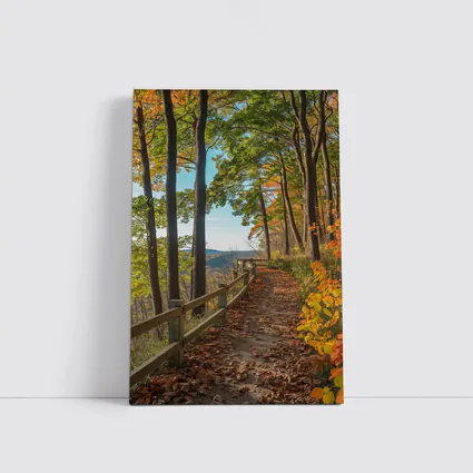 Autumn Forest Trail With Mountain View