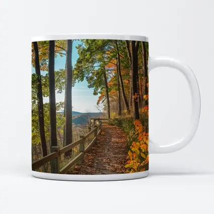 Autumn Forest Trail With Mountain View