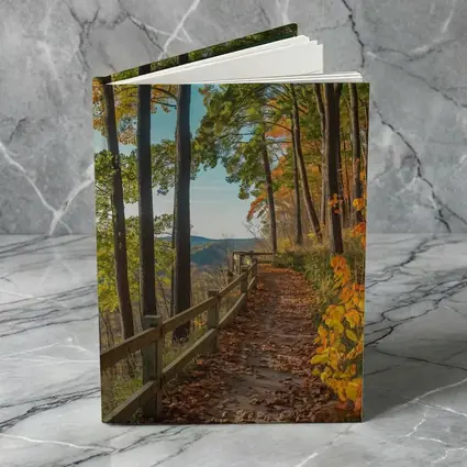 Autumn Forest Trail With Mountain View