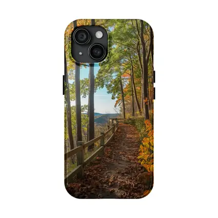 Autumn Forest Trail With Mountain View