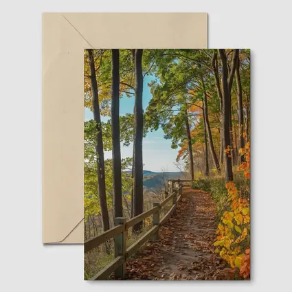 Autumn Forest Trail With Mountain View