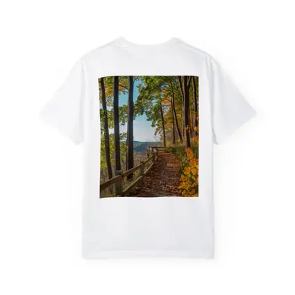 Autumn Forest Trail With Mountain View