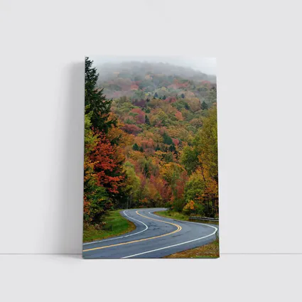 Winding Autumn Road Through Foggy Forest