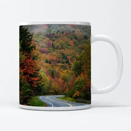 Winding Autumn Road Through Foggy Forest