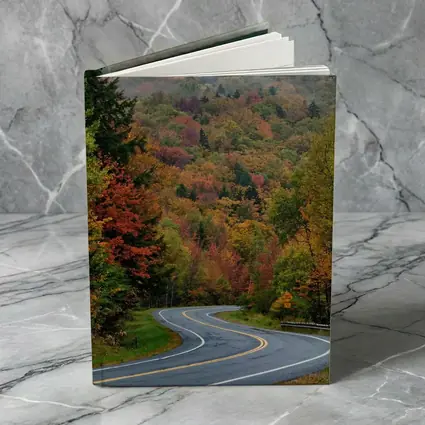 Winding Autumn Road Through Foggy Forest