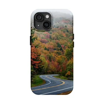Winding Autumn Road Through Foggy Forest