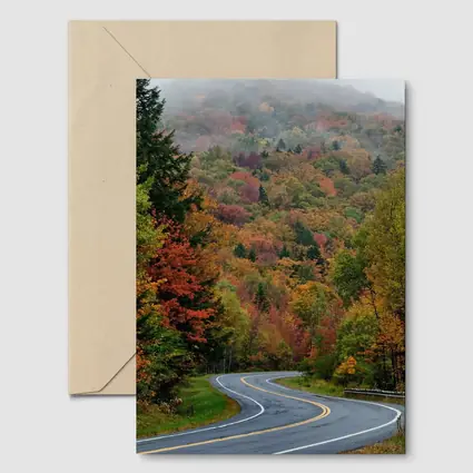 Winding Autumn Road Through Foggy Forest